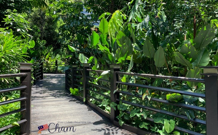 KLIA Jungle Boardwalk