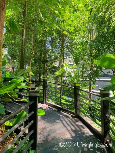 KLIA Jungle Boardwalkにある歩道