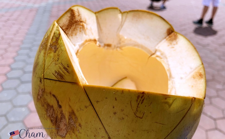バトゥ洞窟（Batu Caves）で購入したココナッツジュース