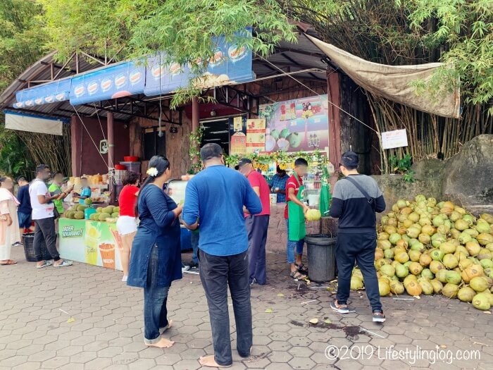 バトゥ洞窟（Batu Caves）にあるココナッツジュースのお店