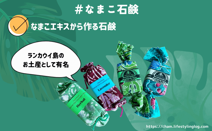 マレーシアのおすすめお土産（なまこ石鹸）