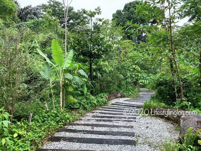 Taman TuguのNursery Trails