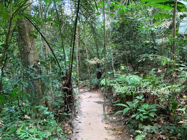 Taman Tuguのメイントレイル内