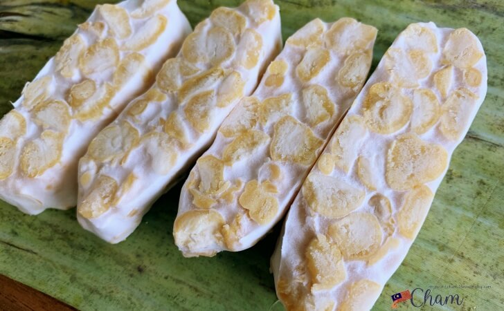 ひよこ豆（Chickpeas）で作ったTempeh（テンペ）