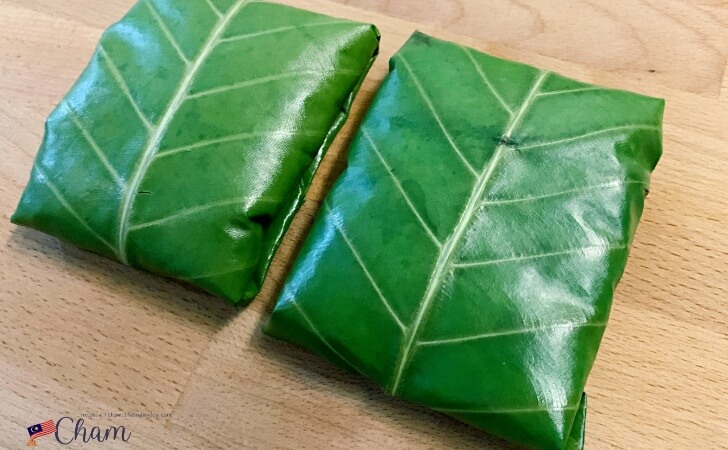 Dillenia suffruticosa（Simpoh Air）で包んだテンペ