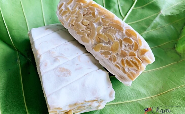 Wendee's Tempehの大豆を使ったTempeh（テンペ）