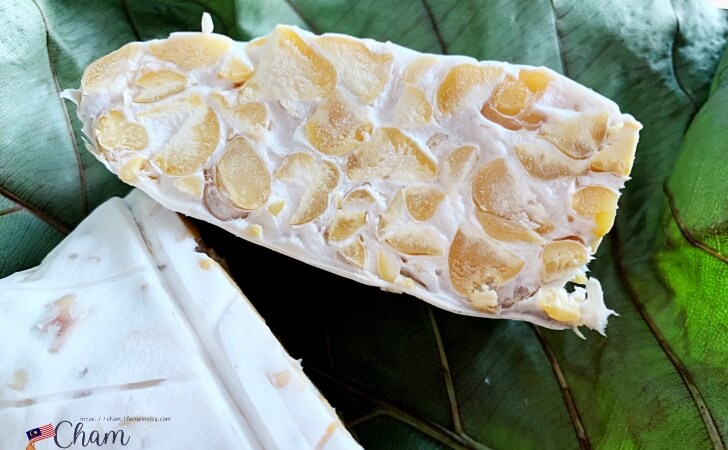 Wendee's Tempehのひよこ豆を使ったTempeh（テンペ）