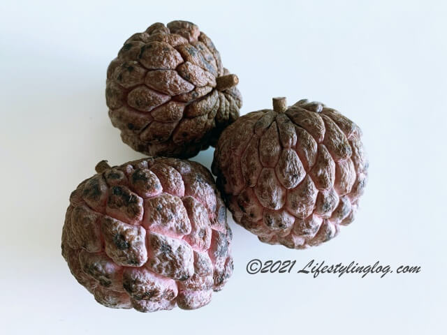 赤釈迦頭（red custard apple）レッドアテス
