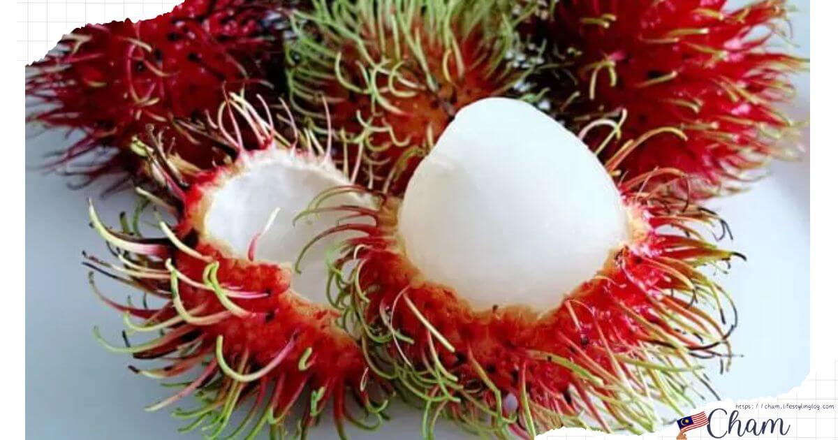 マレーシアのランブータン（Rambutan）とは？