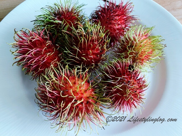 髪の毛（rabmut)のような見た目のランブータン（Rambutan）