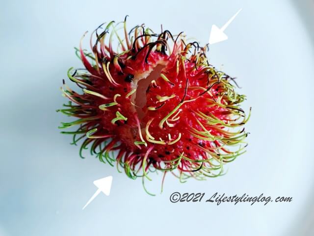 ランブータン（Rambutan）の食べ方