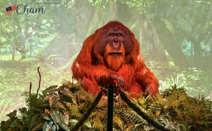 Sultan Abdul Samad Buildingで行われているHikayat Chamberでのショー