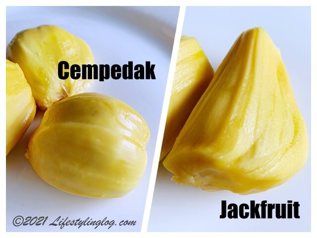 コパラミツ・Cempedak（チェンパダ ）とジャックフルーツ（パラミツ）の比較