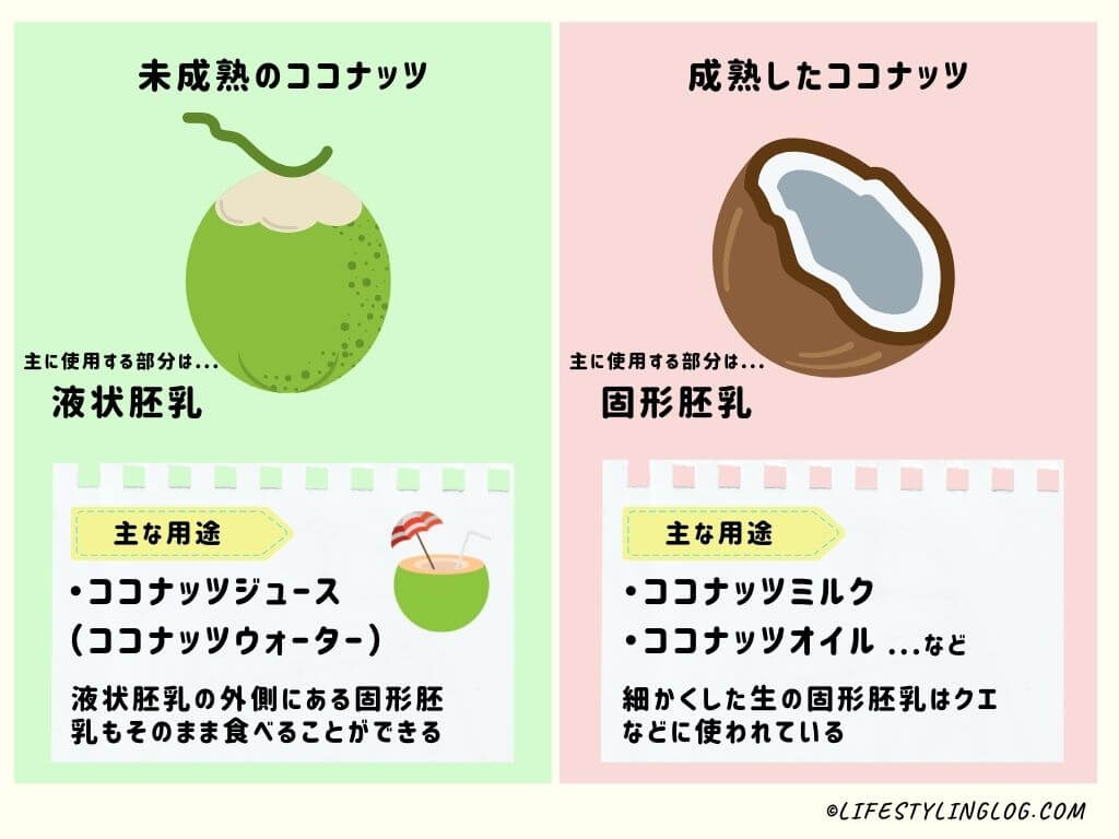 未成熟のココナッツと成熟したココナッツの用途の比較