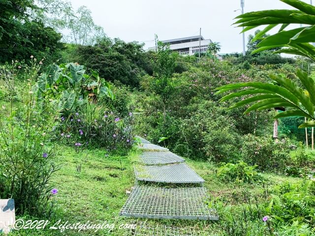 Kebun Kebun Bangsarの坂道