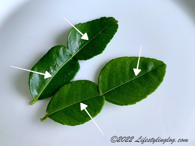 Kaffir Lime Leaf（カフィアライムリーフ）を生でそのまま食べる時に取り除くべき葉の芯