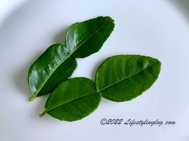 Kaffir Lime Leaves（こぶみかんの葉）