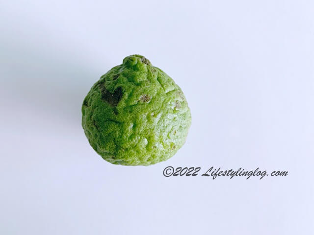 コブミカンのKaffir Lime（カフィアライム）