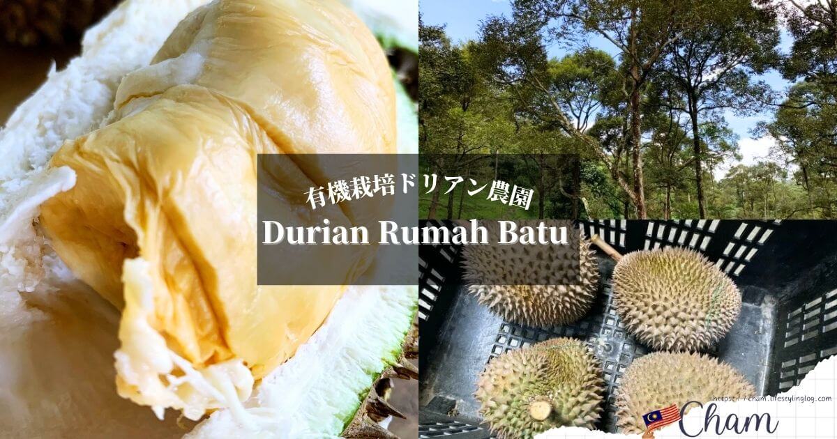 ペナンにある有機栽培のドリアン農園の石屋榴槤園（Durian Rumah Batu, Stone House Plantation）