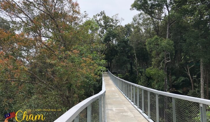 the habitat penang hillのCanopy Walk