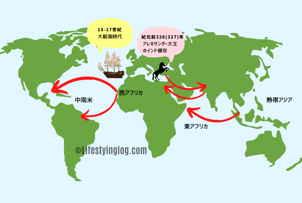 バナナの原種と世界へ広がった伝播の歴史