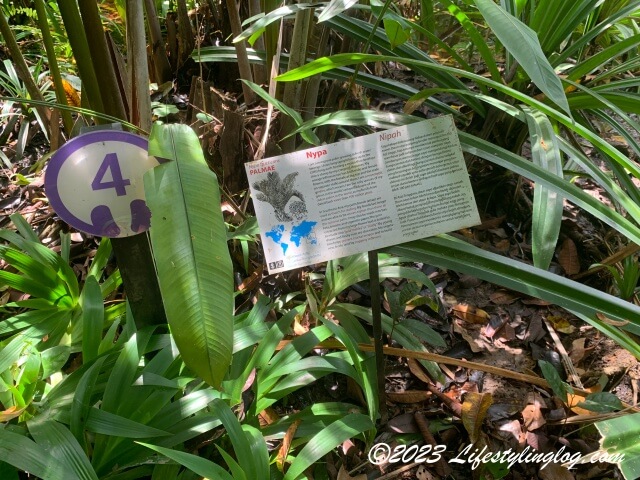 Tropical Spice Garden（トロピカルスパイスガーデン）にある植物の番号と説明書き