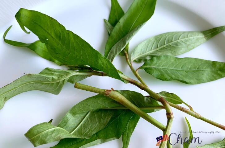 アッサムラクサに使われるDaun Kesom（ベトナミーズミント）
