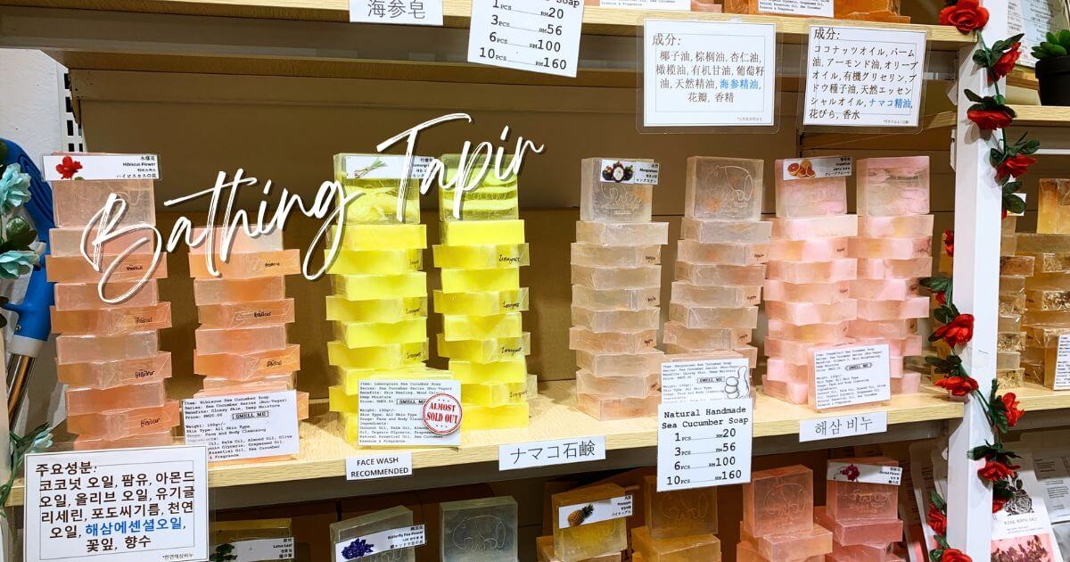 なまこ石鹸を販売するマレーシアのBathing Tapir