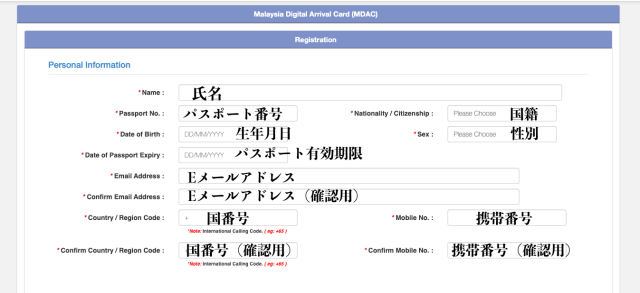 デジタル入国カードの記入の仕方