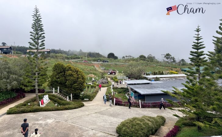 Desa Dairy Farm（デサデイリーファーム）の園内の風景