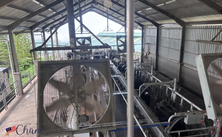 牛乳加工工場内の搾乳場所