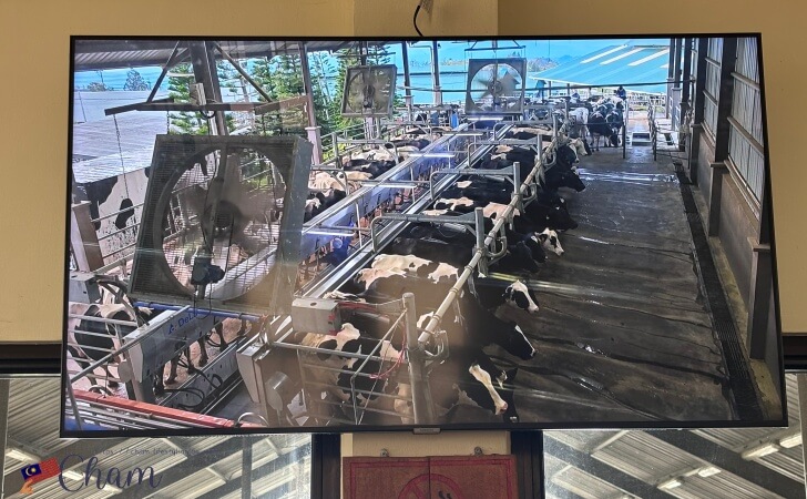 搾乳の様子を写しただしたモニター