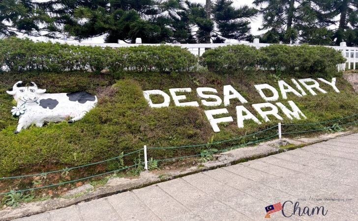 Desa Dairy Farm（デサデイリーファーム）の酪農場の入口