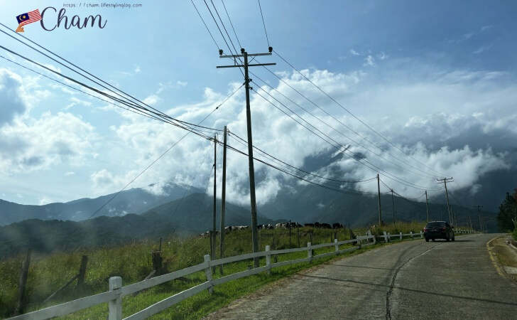 Desa Dairy Farm（デサデイリーファーム）への道のり