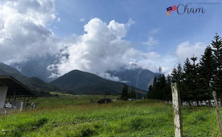 Desa Dairy Farm（デサデイリーファーム）の酪農場