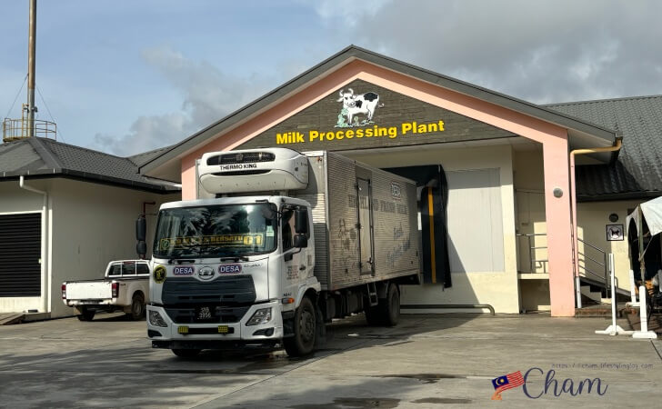 Desa Dairy Farm（デサデイリーファーム）の牛乳加工工場