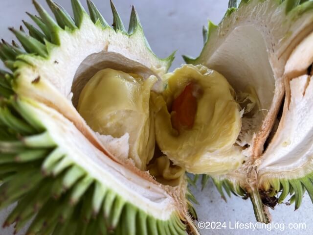 サバの黄色い野生ドリアンのDurian Simpor