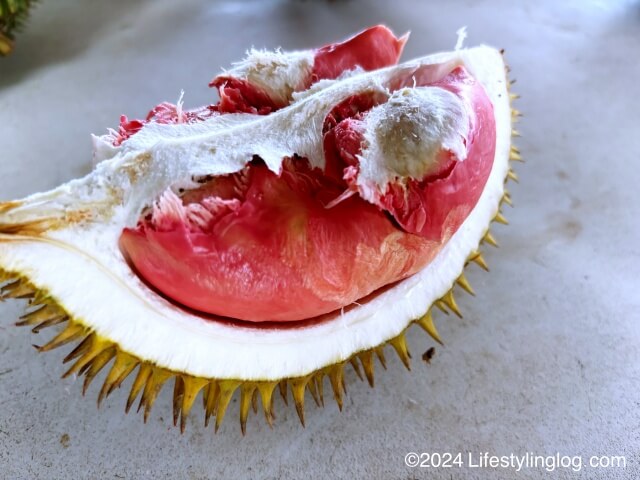 Durian Merahと呼ばれることもあるサバの赤いドリアン