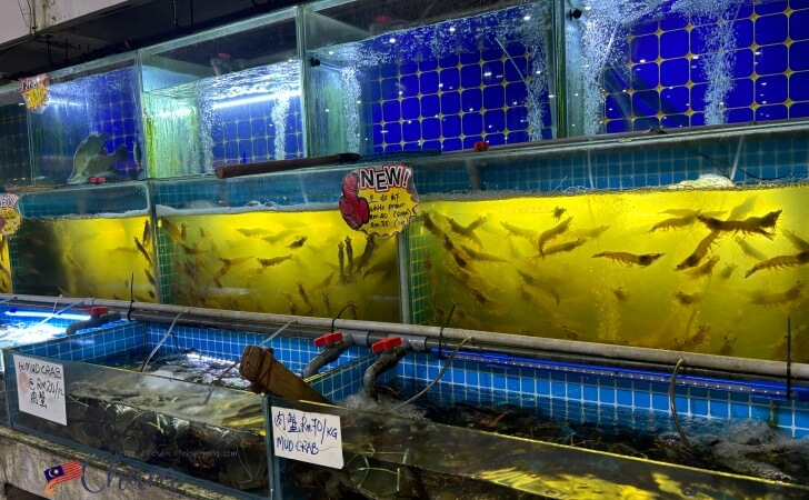 KK Garden Seafood（KKガーデンシーフード）にある生簀