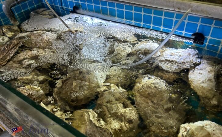 KK Garden Seafood（KKガーデンシーフード）に生簀にある牡蠣