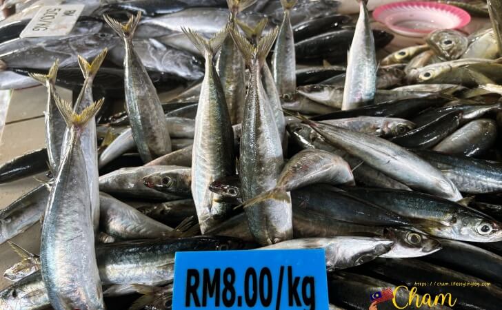 コタキナバルの魚市場で販売されている青魚