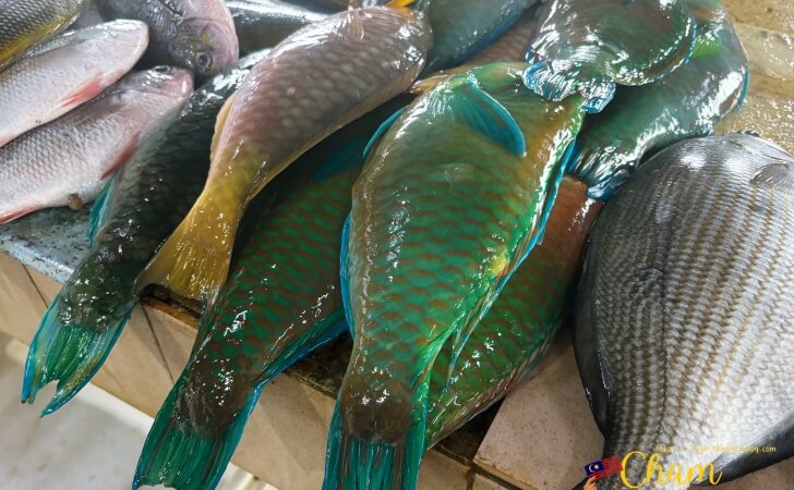 コタキナバルの魚市場で販売されている新鮮な魚