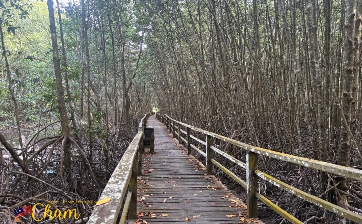 コタキナバルウェットランド(Kota Kinabalu Wetland)のトレイル