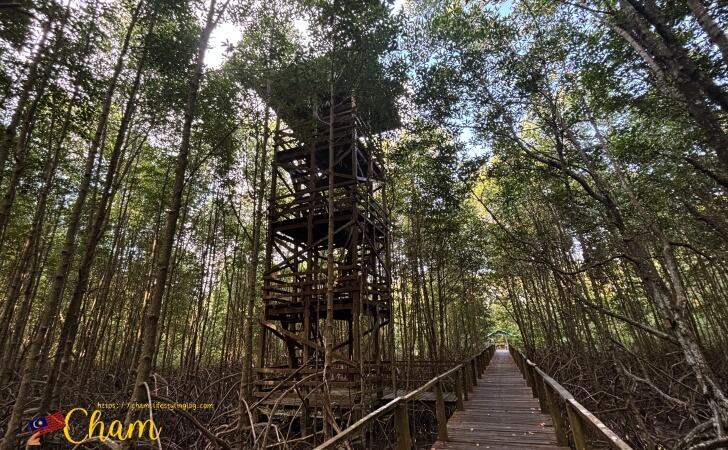 コタキナバルウェットランド(Kota Kinabalu Wetland)にある展望台