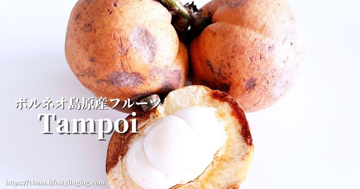 ボルネオ島原産フルーツのTampoi（タンポイ）