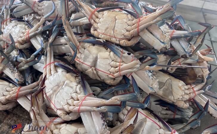 コタキナバルの魚市場で販売されているカニ