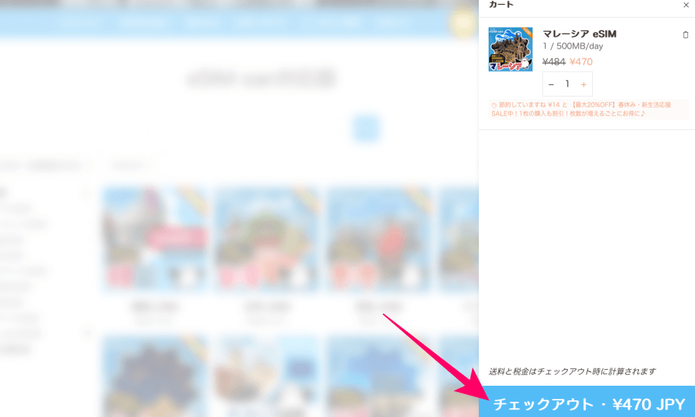 eSIM-san（イーシムさん）でチェックアウトするところ