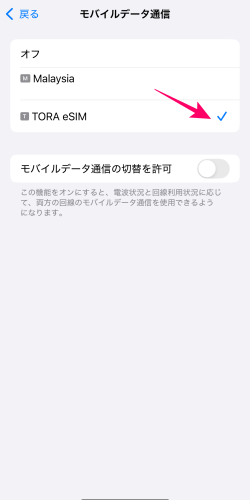 iPhoneのモバイルデータ通信の設定でTORA eSIMを設定したところ