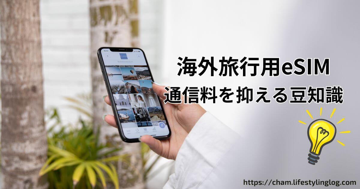 海外旅行用eSIMの通信料を抑えるための豆知識