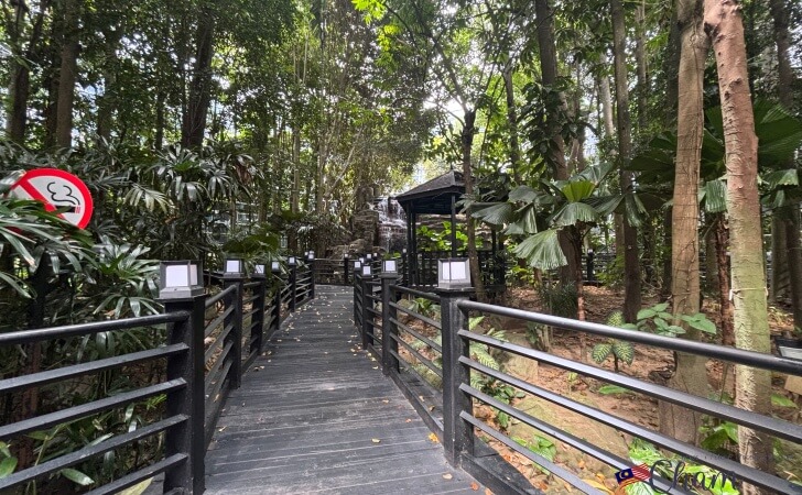 KLIA Jungle Boardwalk（ジャングルボードウォーク）の内部